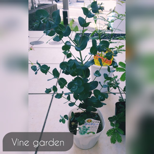 f:id:nagna:20220525003626j:image f:id:nagna:20220525003626j:image