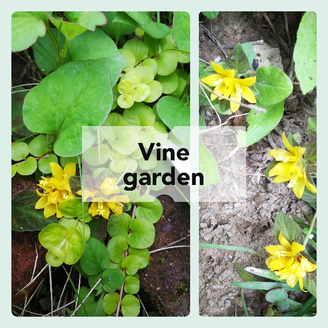 f:id:nagna:20220627181517j:image