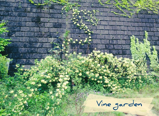 f:id:nagna:20230520004904j:image