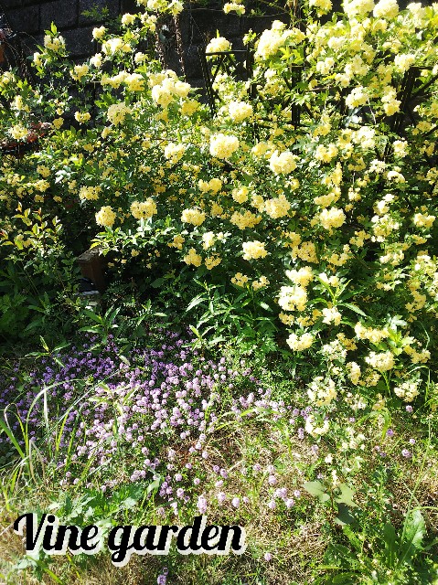 f:id:nagna:20230520004918j:image