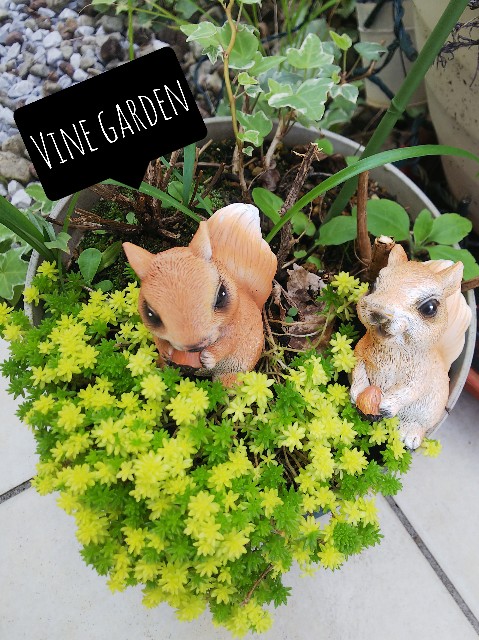 f:id:nagna:20230520005032j:image