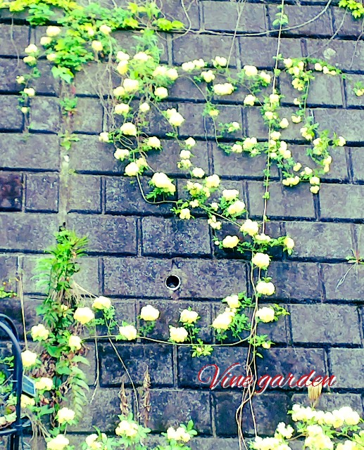 f:id:nagna:20230520070919j:image