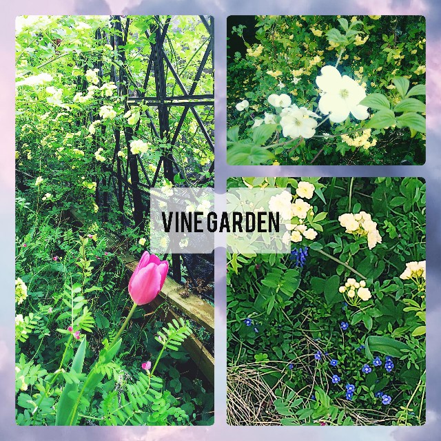 f:id:nagna:20230520071415j:image