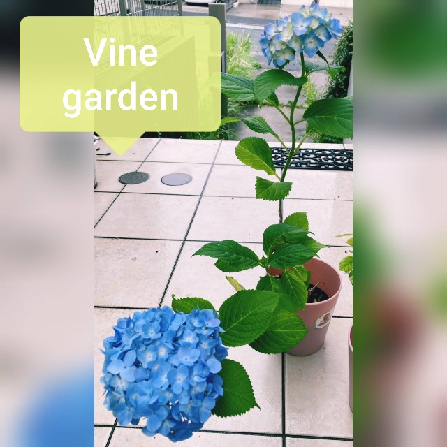 f:id:nagna:20250610141544j:image