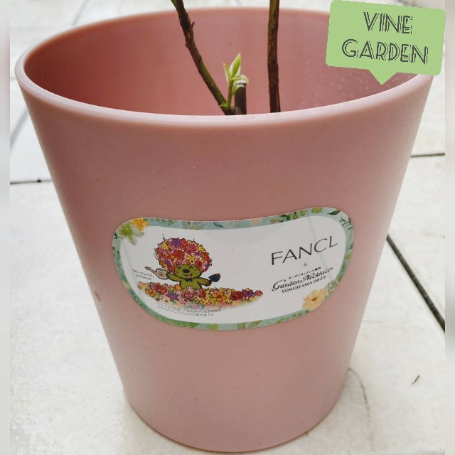 f:id:nagna:20250610141629j:image