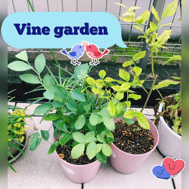 f:id:nagna:20250610141728j:image