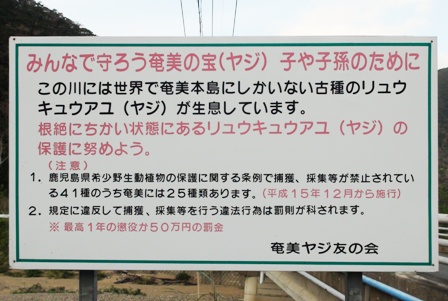f:id:nagohaku:20130203161239j:image