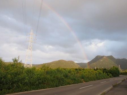 [沖縄][名護][嘉津宇岳][風景]