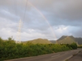 [沖縄][名護][嘉津宇岳][風景]