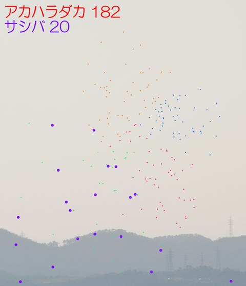 f:id:nagohaku:20151006112811j:image:w500