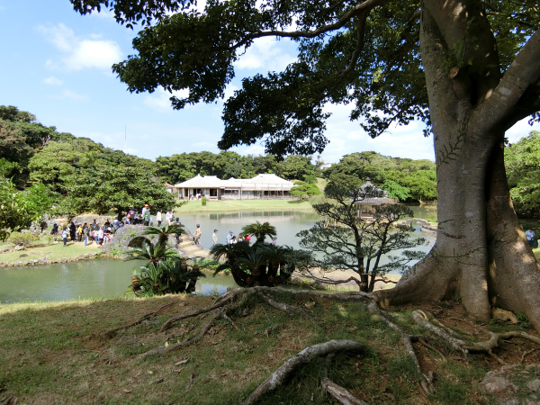 f:id:nagohaku:20161105110850j:image:w360