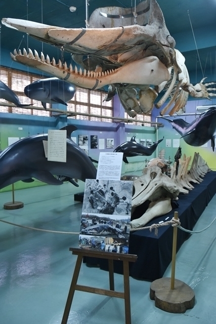 f:id:nagohaku:20190302165418j:plain f:id:nagohaku:20190302165418j:plain