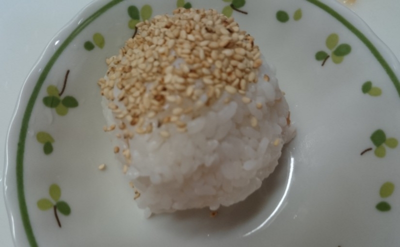 Chopped Ume Rice Ball (Chopped Ume Onigiri) put Goma | Happy RiceBall Life