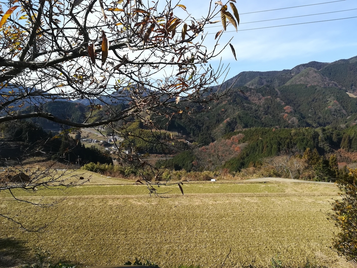 f:id:nagomihonobono21:20210101161620j:plain