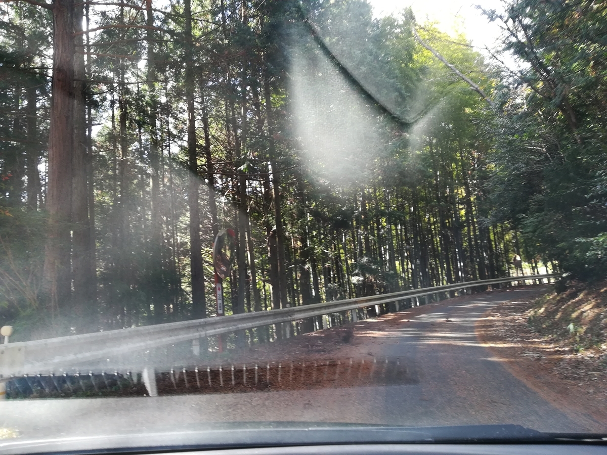 f:id:nagomihonobono21:20210101162156j:plain