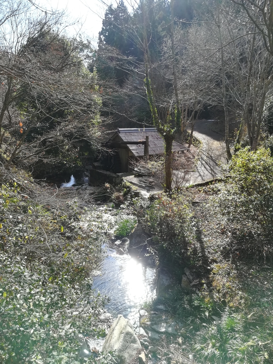 f:id:nagomihonobono21:20210101162446j:plain