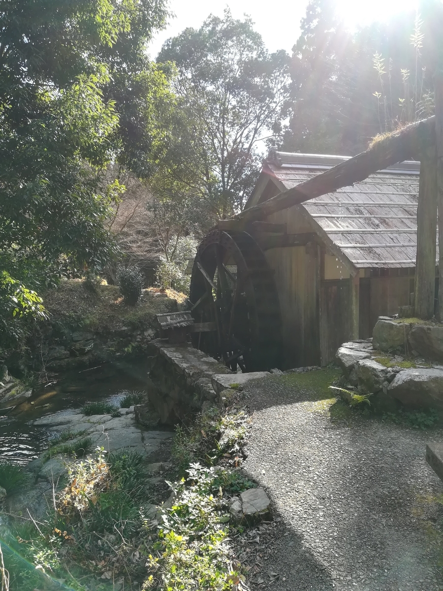 f:id:nagomihonobono21:20210101162536j:plain