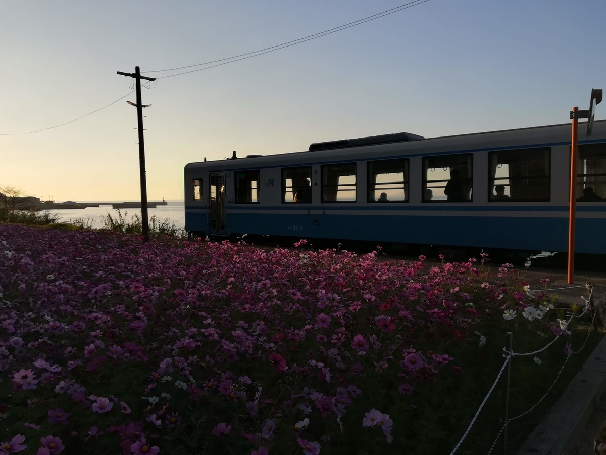 f:id:nagomihonobono21:20210101164540j:plain