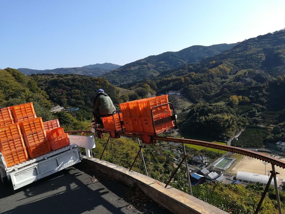 f:id:nagomihonobono21:20210101173547j:plain