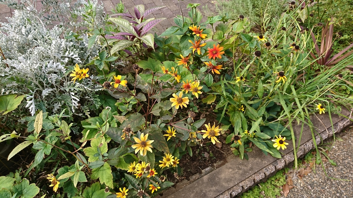 f:id:nagominogarden:20200915214824j:plain