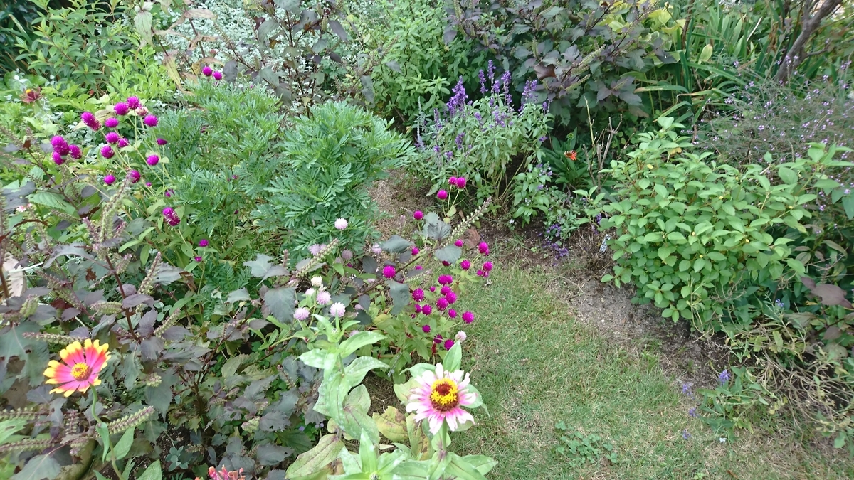 f:id:nagominogarden:20211001213449j:plain