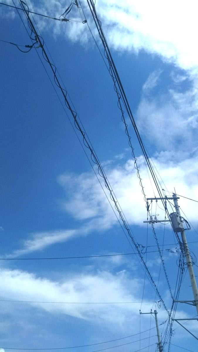 f:id:nagomisennsi:20190722183820j:plain