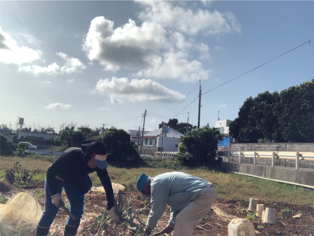 f:id:nagomiyasu-okinawa:20180404202208j:image f:id:nagomiyasu-okinawa:20180404202208j:image