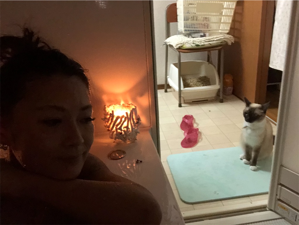 f:id:nagomiyasu-okinawa:20190816162245j:image f:id:nagomiyasu-okinawa:20190816162245j:image