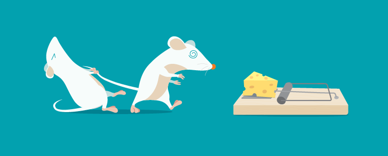 f:id:nagowaykata:20200113203631p:plain f:id:nagowaykata:20200113203631p:plain