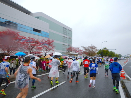 DSCN7399.JPG