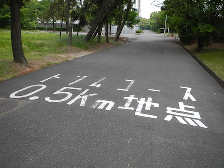 DSCN7571.JPG