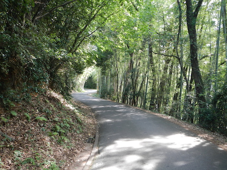 DSCN7574.JPG