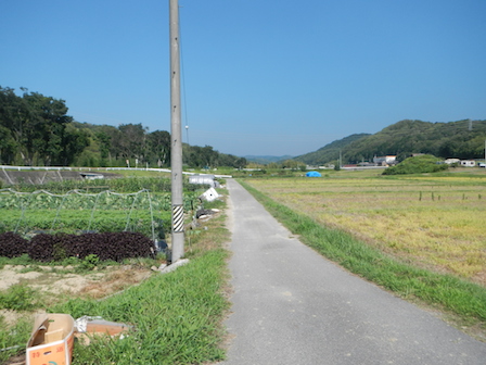 DSCN7594.JPG