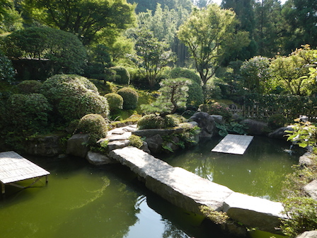 DSCN7646.JPG