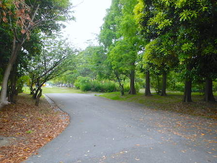 DSCN7657.JPG