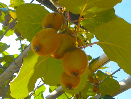 DSCN7678.JPG