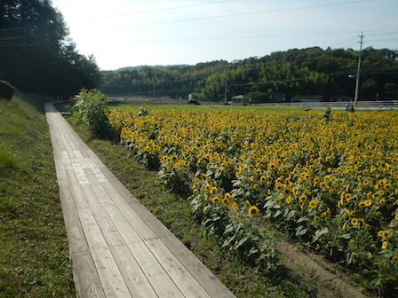 DSCN7694.JPG