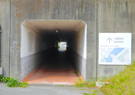 DSCN7699.JPG