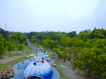 DSCN7708.JPG