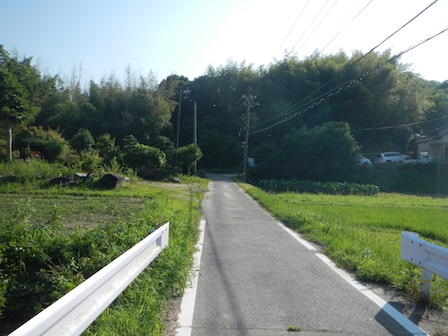DSCN7735.JPG