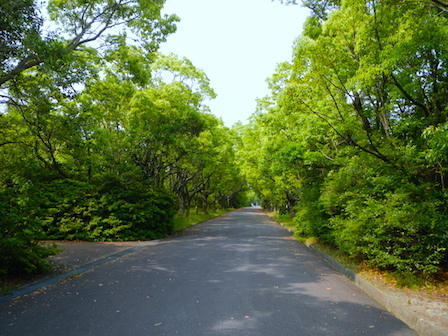 DSCN7772.JPG