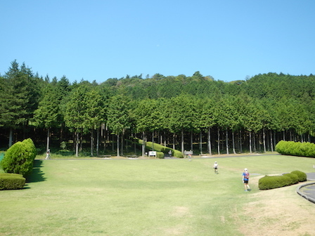 DSCN8409.JPG