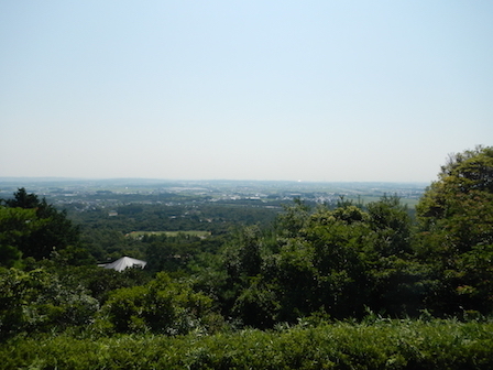 DSCN8420.JPG