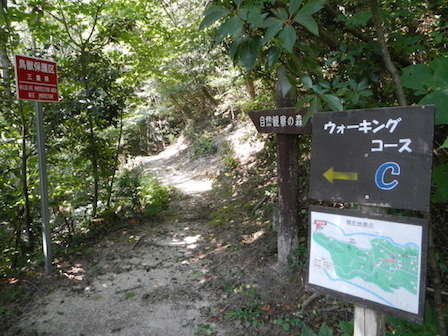 DSCN8436.JPG