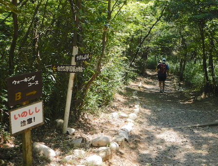 DSCN8489.JPG