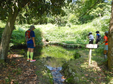 DSCN8497.JPG