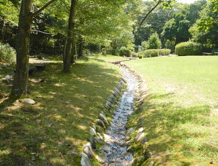 DSCN8503.JPG