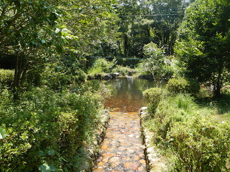 DSCN8504.JPG