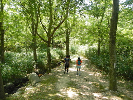 DSCN8507.JPG