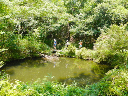 DSCN8527.JPG